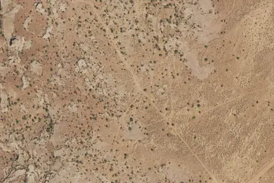 Designated Campsite