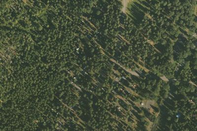 Wallowa Lake Campground