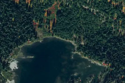 Pete Lake Backpacking Site
