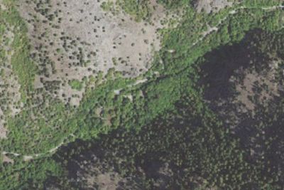 Group Site