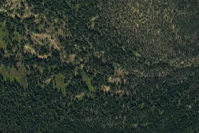 Camp site