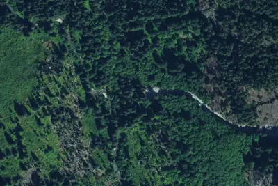 Camp site