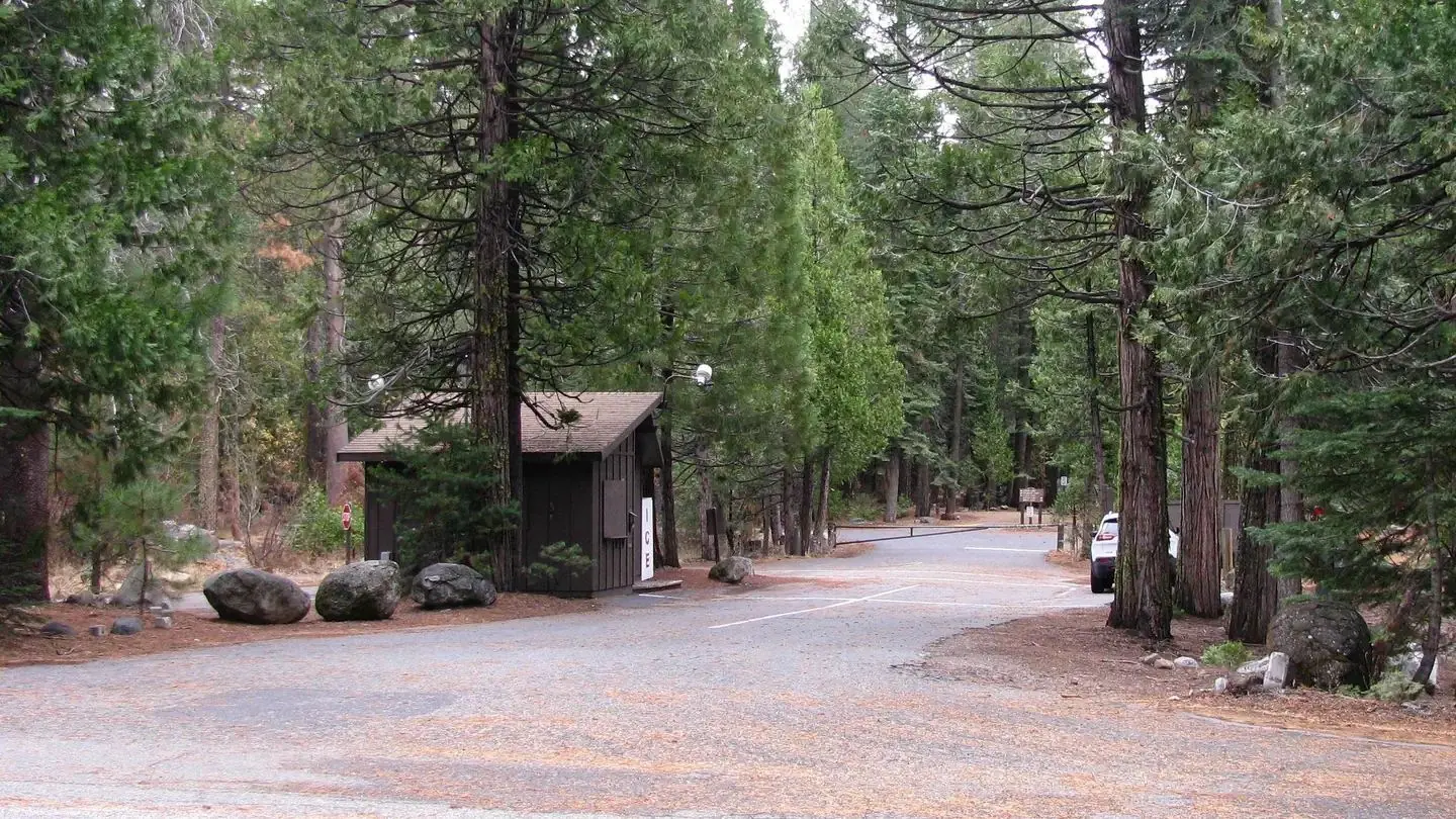Camp Kiosk