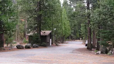 Pinecrest