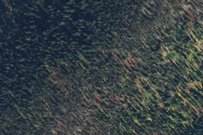 Loc500rd-021