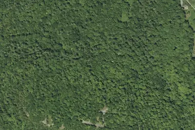 Camp site