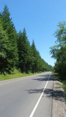 Heading to Reedsport - panoramio