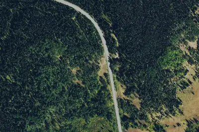 Camp site