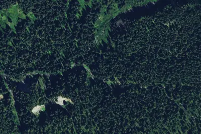 Camp site