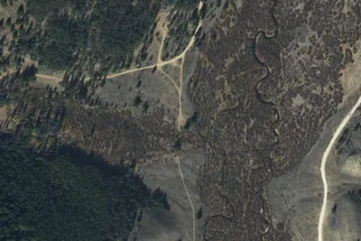 U.S. Forest Service Site 1