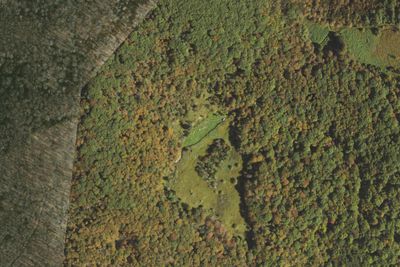 Overmountain shelter camping area