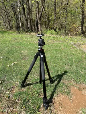 Manfrotto Tripod (53816736599)