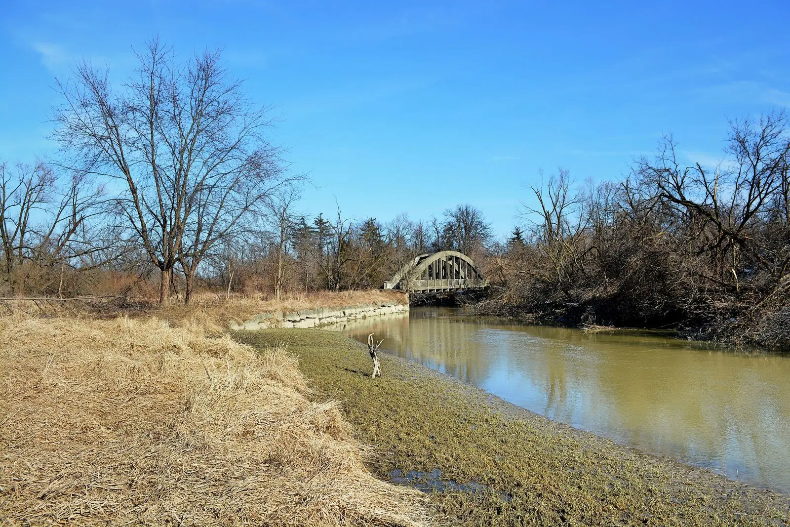 Photo of Claireville Conservation Area