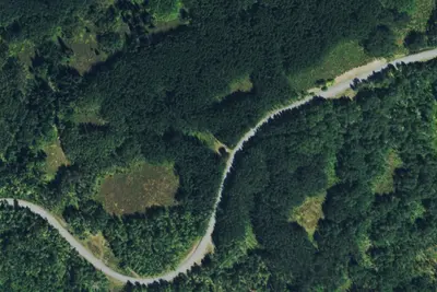 Camp site