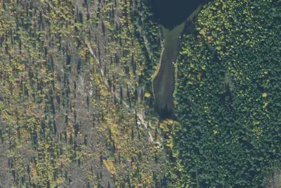 Brush Lake
