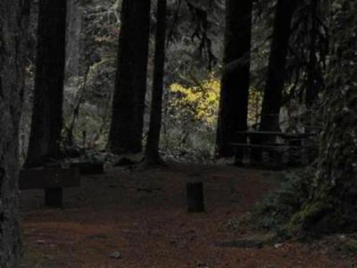 Limberlost