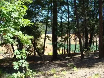 Minersville Campground