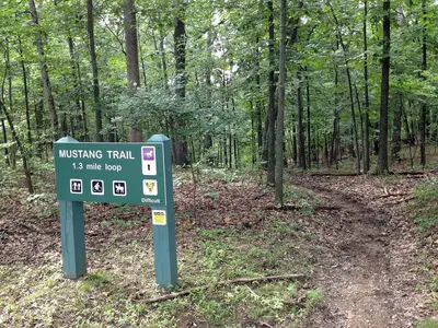 Mustang Trail Greensfelder