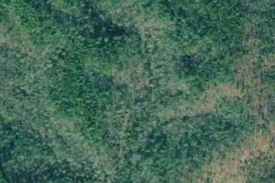 Camp site