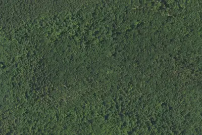 Camp site