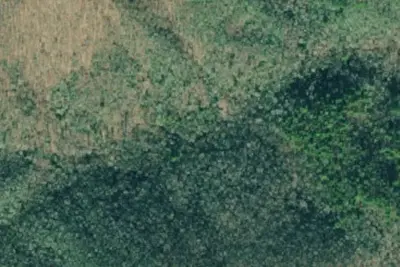 Camp site