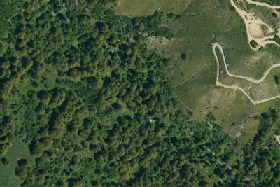 Camp site