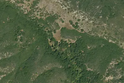 Forbush Flat Camp