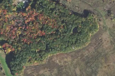 Pines Camping Area