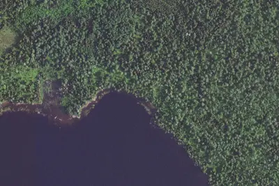 Camp site (USFS)