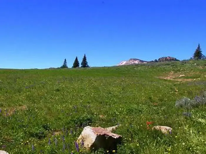 Mountain scape