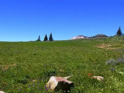 Thompson Flat