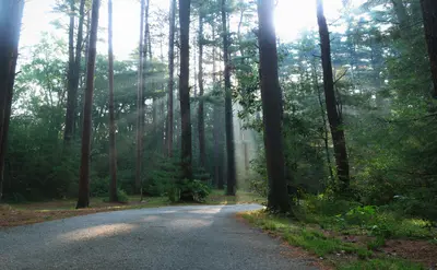 Andover, MA, USA - panoramio