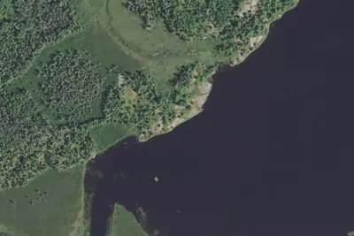 Camp site (Superior National Forest)