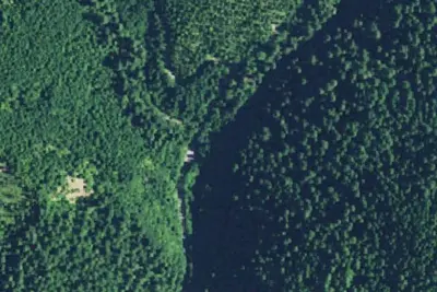 Camp site