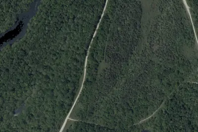 Area 31 Campsite