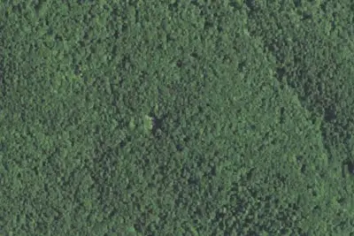 Camp site