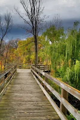 Boardwalk (1992571462)