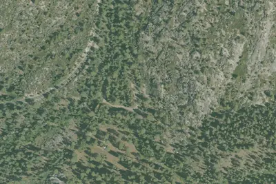 Camp site