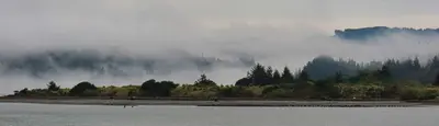 2023 Annular Solar Eclipse, Coos Bay, Oregon IMG 0434 (53267557836)