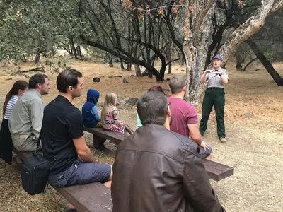Fire Ranger Program 3 (086571ad-6153-40ec-9038-b2c923651be9)