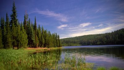 Jubilee Lake Camp Ground