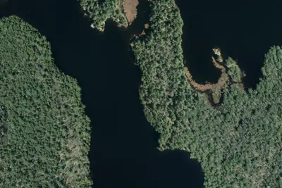 Camp site