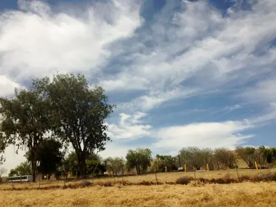 Merced, CA, USA - panoramio (22)