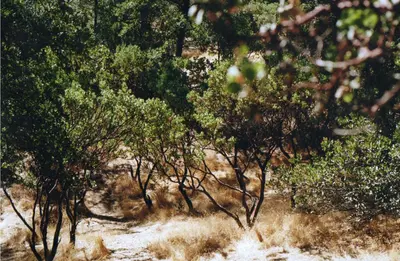 Redding, CA, USA - panoramio - AB87