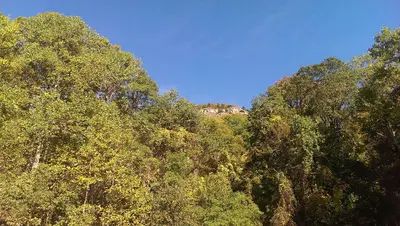 Mount Yonah Trail looking up - panoramio