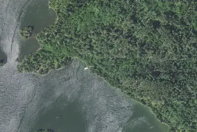 Lake Vermilion Site 15