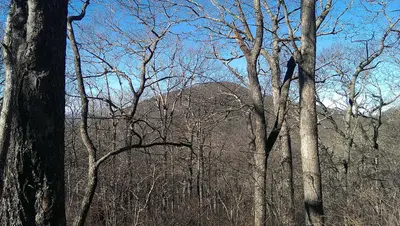 Slaughter Mountain - panoramio (2)