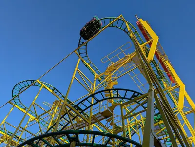 Wild Mouse (Lagoon) 2