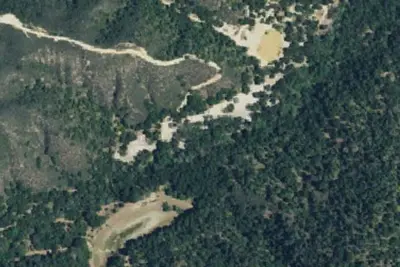 Madrone Camp