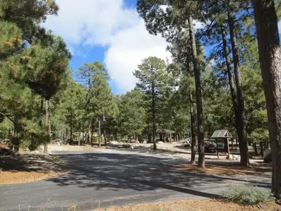 Whitetail Campground
